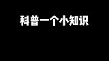 所以猫咪领养了解一下？