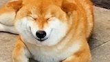 这小日子过得……