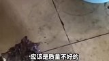 一手机突然爆炸起火，知情者称已报警取证