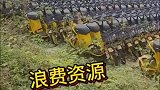 荒废的共享单车，太浪费资源了