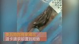 健身房泳池内现死老鼠 顾客想退卡却遭拒：已向消协投诉