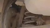 师傅修车发现天窗排水管堵塞，挽回了一台泡水车，还好我买的低配