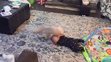 大黑狗喝水的样子很可爱，小宝也想模仿，要不要去制止