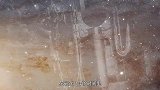 中国天眼找到“新地球”，水植物都有，科学家却说：不能去！