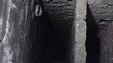 猫咪被困12米烟囱底部，绝望无助，最后被好心大妈救助
