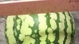 我买的瓜就没有坏的，给大家表演个开瓜