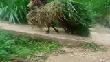 下班了之后跑的就是快