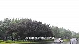 添衣、带伞！北京今晨至白天阴有小雨，最高气温仅18℃