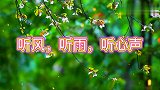 心情语录：听风，听雨，听心声