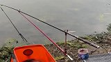 看给这大哥吓得，现在鱼儿不吃饵料了吗，改成吃鱼杆啦！