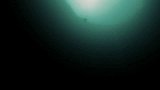 极限-15年-潜水勇者上演海沟跳跃 深入海底无惧黑暗-新闻