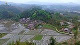 云南一个神秘山庄，外地人都不敢踏入，国家派军队前往查出真相！