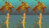 海蜥蜴再战黄金巨龙