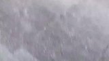 爷爷奶奶去接小孙女回家，结果孙女绕开张开双臂的爷爷跑向奶奶
