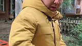 咋还打起来了呢刘正常的正常生活 沙雕