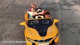 实拍：猫咪“开”着一辆小汽车 拉着2只狗在兜风！