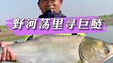 野河荡里寻巨鲢