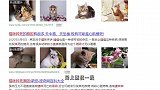 这种令人心痛的教训养猫者都该看看！