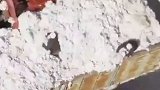 航拍新疆大美棉花田 简直治愈强迫症新疆棉花