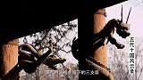摧毁朱温政权,最有能力结束五代乱世的李存勖,却亲手毁掉江山