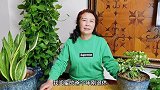 再婚老人退休后，工资卡该给儿子还是老伴？大爷很为难