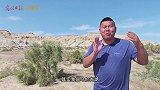 秋天的乌伦古湖有多美