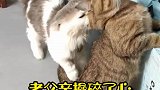 这孩子操碎了我这个老父亲的心
