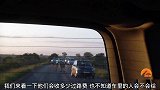 狮子拦车，汽车都停下来看狮子，车镜子还被咬了