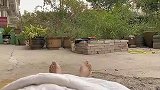 刚起床准备溜溜新车