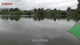 20米宽的大河野钓，鱼口超多，看看都钓了些什么鱼？