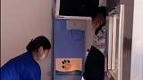 酷七被普拉达咬伤了，铲屎官带它来医院包扎伤口，一代战神陨落了