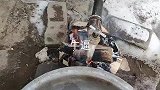 不烧油不烧气