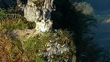 贵州大山发现一仙女站在悬崖边欲跳崖，走近一看竟是一块石头