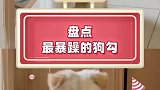 狗如其名，就是一个字狂