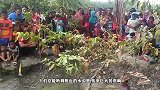 半夜农夫听到动物惨叫声，越听越不对劲，跑出去一看竟有意外收获