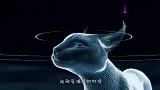狞猫遇上群疣猪,二话不说就开战,疣猪措手不及