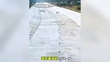 网友称淮北老滩河“河底铺地砖”，淮北文旅集团：为防止江水渗漏