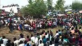 印度传统斗牛大会现场失控 公牛受惊冲入人群引发混乱