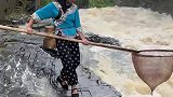 涨洪水了，到河里捞鱼