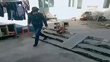小哥哥打算出门玩了, 没想到连小奶狗都看不下去