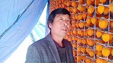 吼哥揉捏柿子前，先包裹几天，才能做出底色红的柿饼