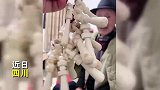 催婚催生一步到位！爷爷提一串亲手制作的磨牙棒对孙女催婚