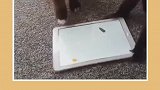 睡个午觉真的好难
