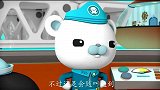 海底小纵队：哇塞队员们度假太会选地方了这么美好