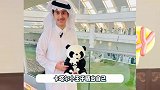 卡塔尔小王子再秀中文！用四川话召唤大熊猫，涨粉千万热度不减