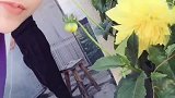 农村喝酒！哈哈