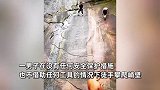 男子无装备徒手爬60度石壁“如履平地”：练习1个月，要量力而行