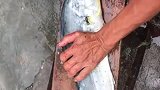 菜市场的鱼贩子，这出神入化的刀法，至少有十年经验了！
