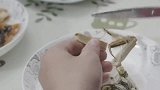 僵小鱼：僵小鱼吃螃蟹，太浪费了