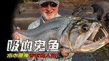 吸血鬼的“原型生物”，生存在原始森立，专吃食人鱼的水中恶魔
